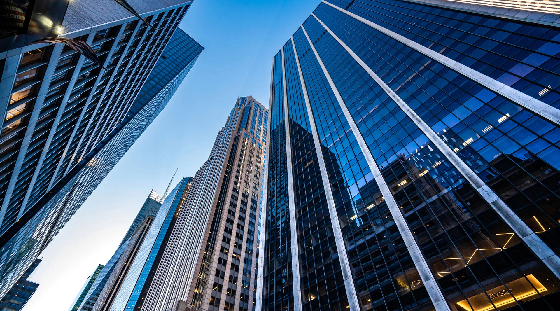 corporate-picture