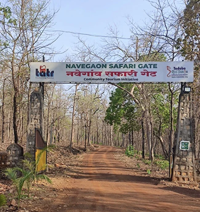 Nagpur to Gondia taxi service 1 navegaon safari gate 02
